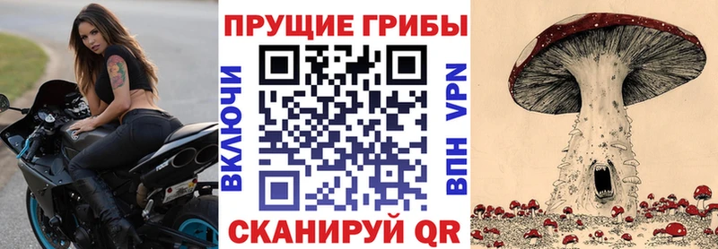 Псилоцибиновые грибы Cubensis  Томмот 