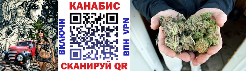 Канабис ГИДРОПОН Томмот
